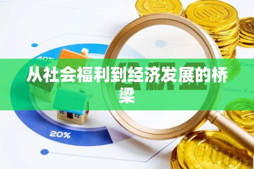 井研从社会福利到经济发展的桥梁