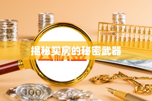 井研揭秘买房的秘密武器