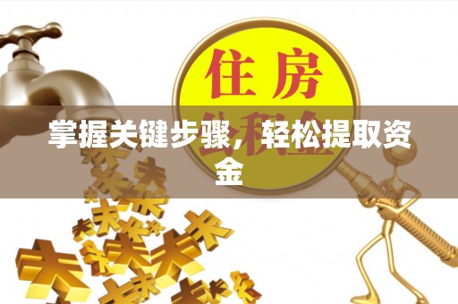 井研掌握关键步骤，轻松提取资金