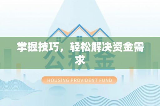 井研掌握技巧，轻松解决资金需求