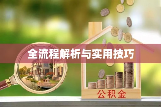 井研全流程解析与实用技巧