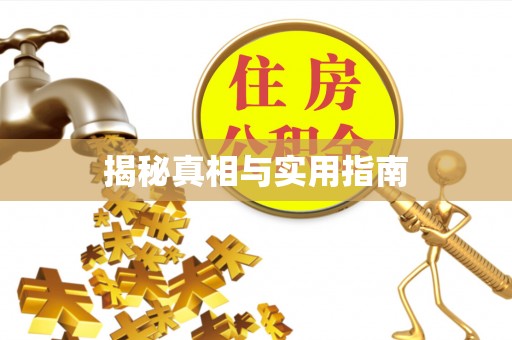 井研揭秘真相与实用指南
