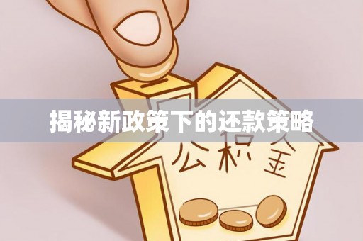 井研揭秘新政策下的还款策略