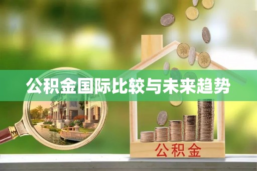 井研公积金国际比较与未来趋势