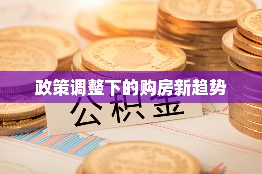 井研政策调整下的购房新趋势