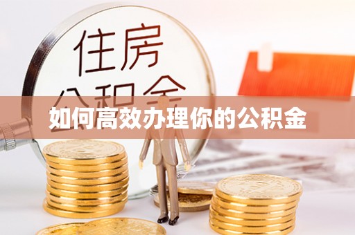 井研如何高效办理你的公积金