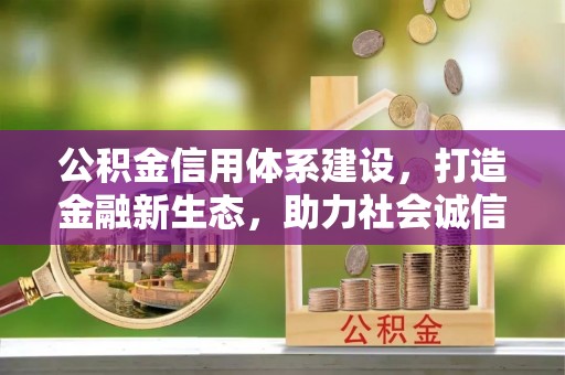 井研公积金信用体系建设，打造金融新生态，助力社会诚信发展