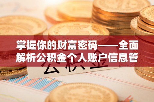 井研掌握你的财富密码——全面解析公积金个人账户信息管理与优化