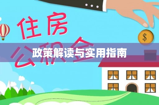 井研政策解读与实用指南
