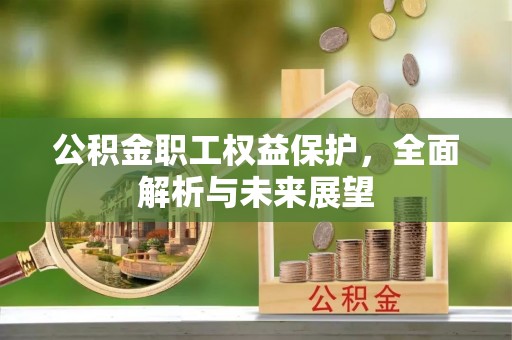 井研公积金职工权益保护，全面解析与未来展望