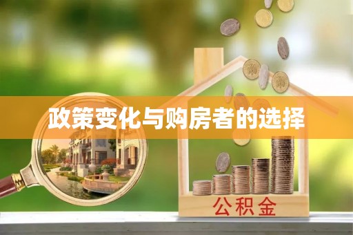 井研政策变化与购房者的选择