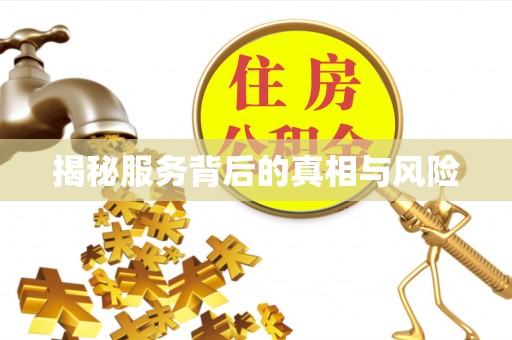井研揭秘服务背后的真相与风险