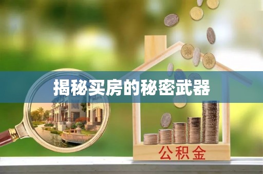 井研揭秘买房的秘密武器