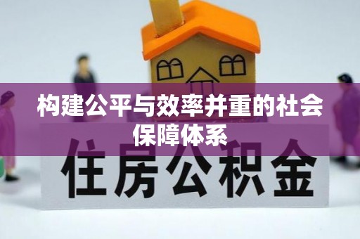 井研构建公平与效率并重的社会保障体系