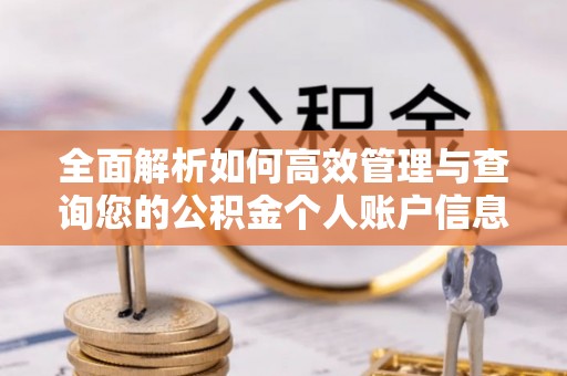 井研全面解析如何高效管理与查询您的公积金个人账户信息