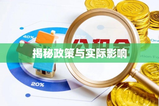 井研揭秘政策与实际影响