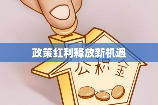 井研政策红利释放新机遇