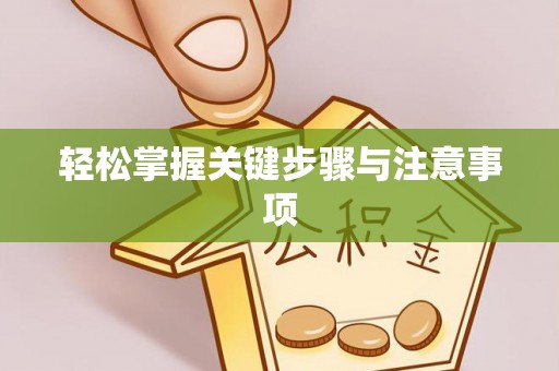 井研轻松掌握关键步骤与注意事项