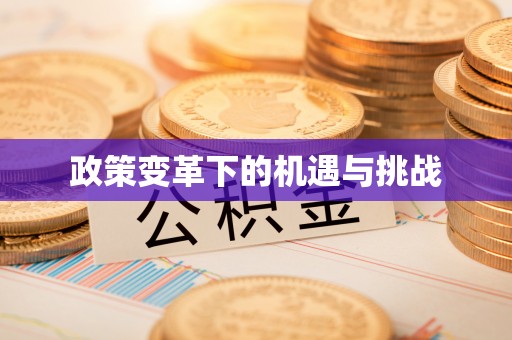 井研政策变革下的机遇与挑战