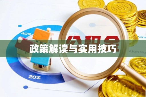 井研政策解读与实用技巧