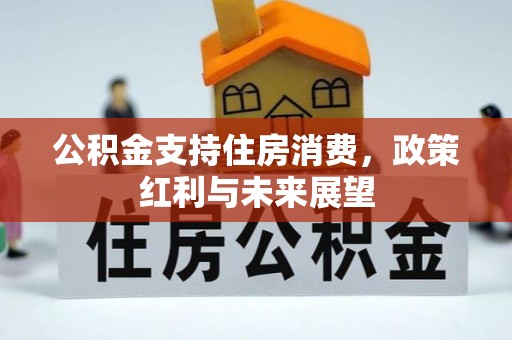 井研公积金支持住房消费，政策红利与未来展望