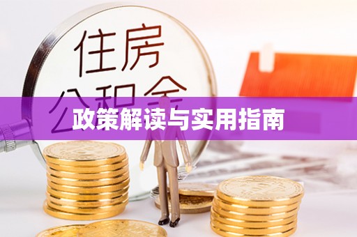 井研政策解读与实用指南