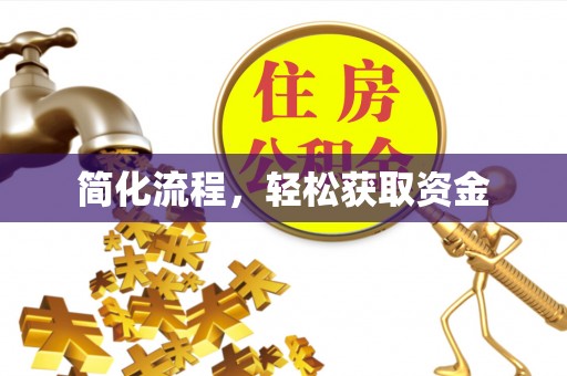 井研简化流程，轻松获取资金