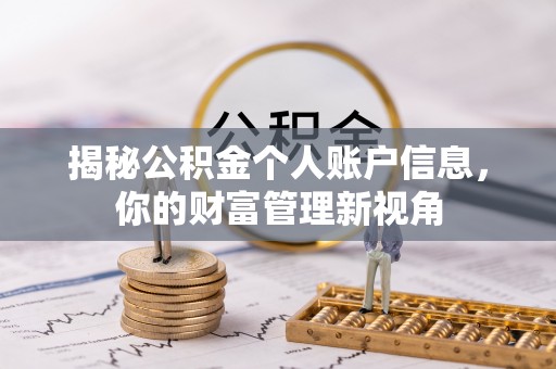 井研揭秘公积金个人账户信息，你的财富管理新视角
