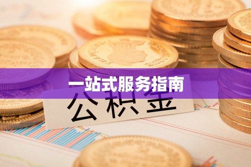 井研一站式服务指南