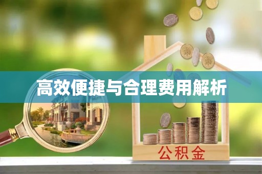 井研高效便捷与合理费用解析