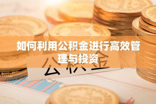 井研如何利用公积金进行高效管理与投资