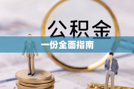 井研一份全面指南