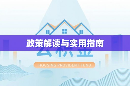 井研政策解读与实用指南