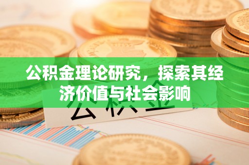 井研公积金理论研究，探索其经济价值与社会影响
