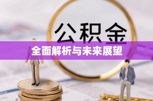 井研全面解析与未来展望
