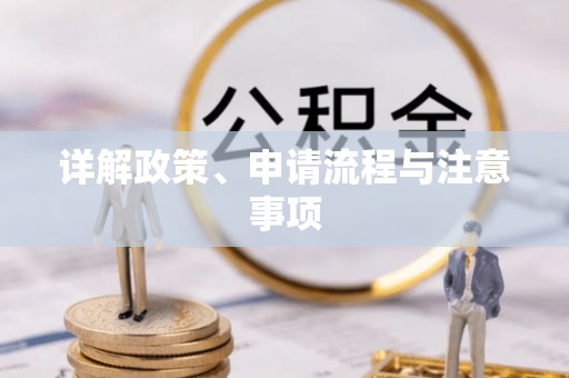 井研详解政策、申请流程与注意事项
