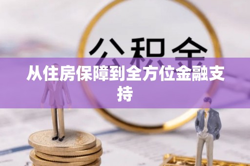 井研从住房保障到全方位金融支持
